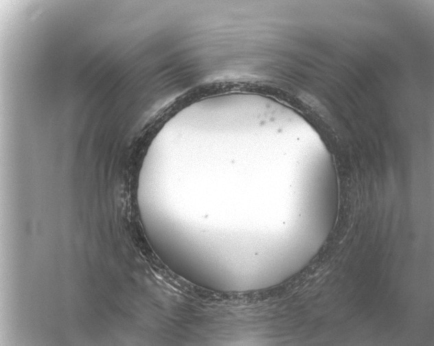 X0000056030872200509170034