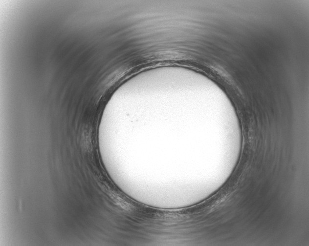 X0000056030873200509170034