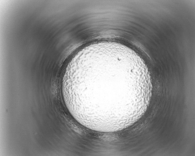 X0000056030874200509170034