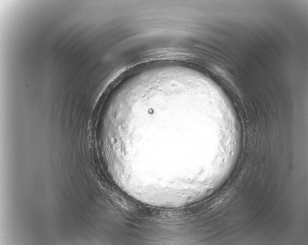 X0000056030875200509170034