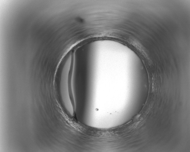 X0000056030876200509170034