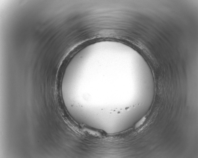 X0000056030880200509170034