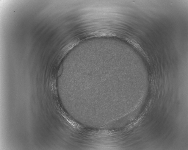 X0000056030881200509170034