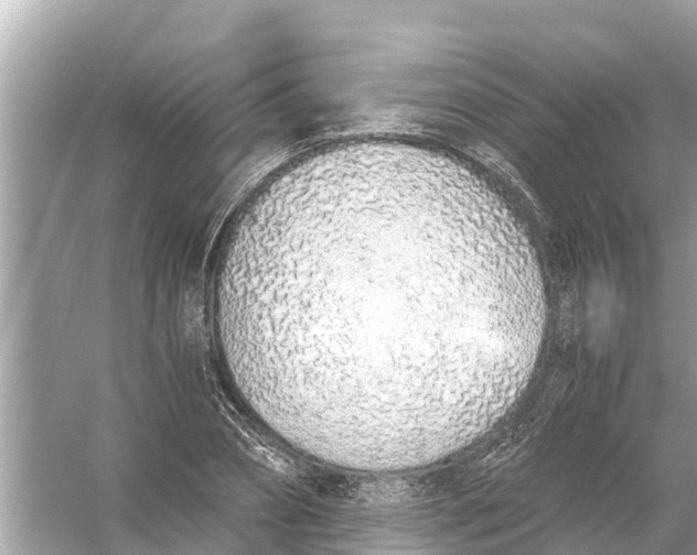 X0000056030882200509170033