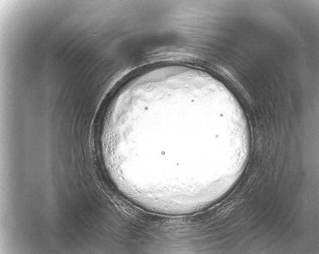 X0000056030883200509170033