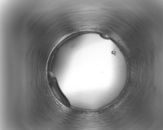 X0000056030884200509170033