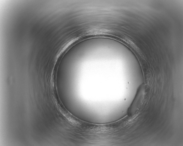 X0000056030885200509170033