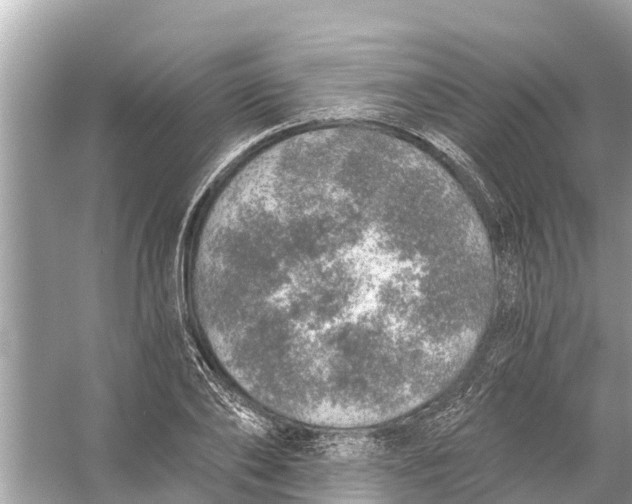 X0000056030886200509170033