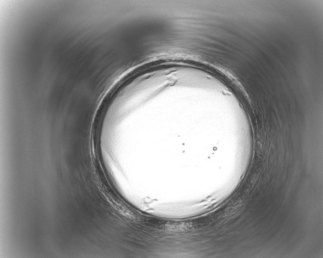 X0000056030887200509170033