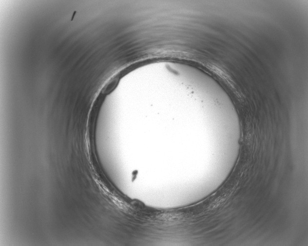 X0000056030888200509170033