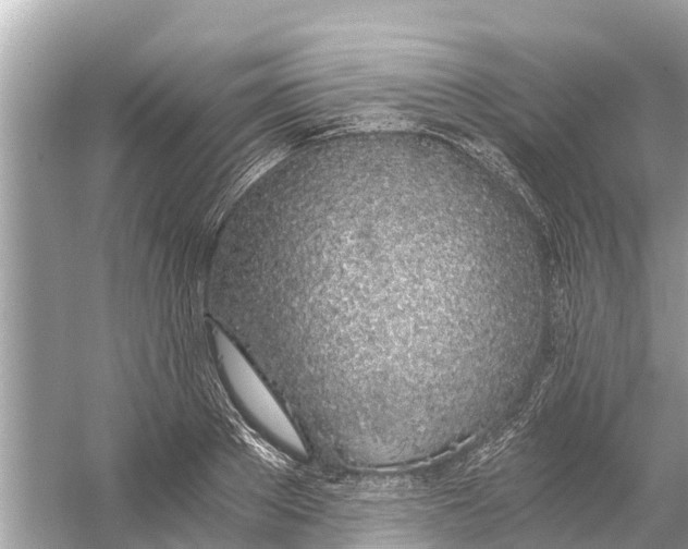 X0000056030889200509170033