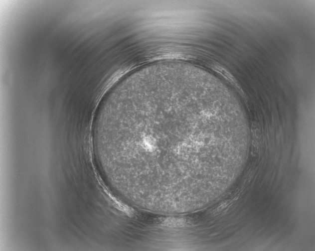 X0000056030890200509170033