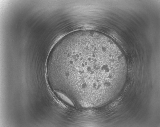 X0000056030891200509170033