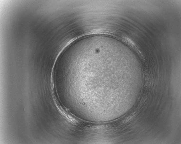 X0000056030892200509170033