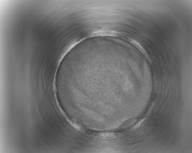 X0000056030893200509170033