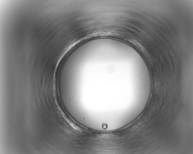 X0000056030894200509170033