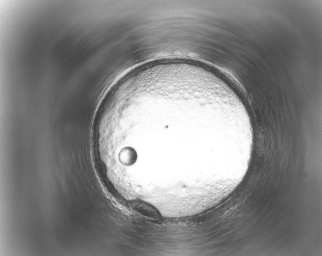 X0000056030895200509170033