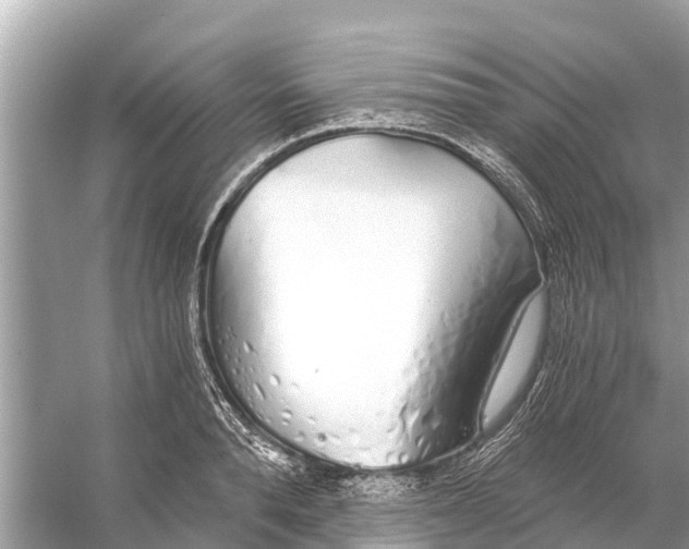 X0000056030896200509170033