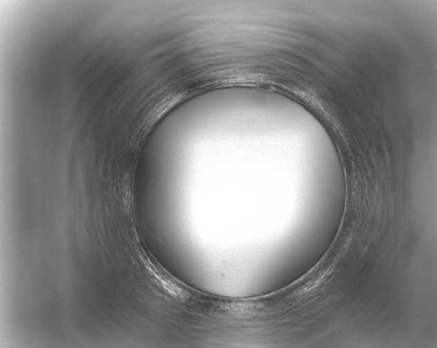 X0000056030897200509170033