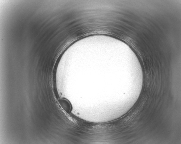 X0000056030898200509170033