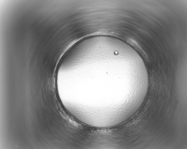 X0000056030900200509170033