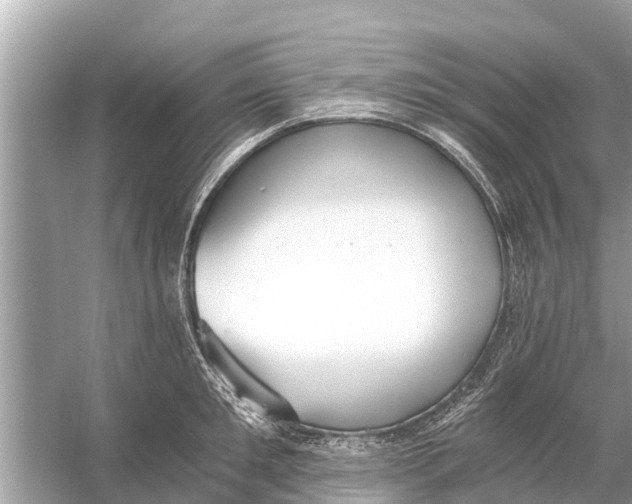 X0000056030901200509170033