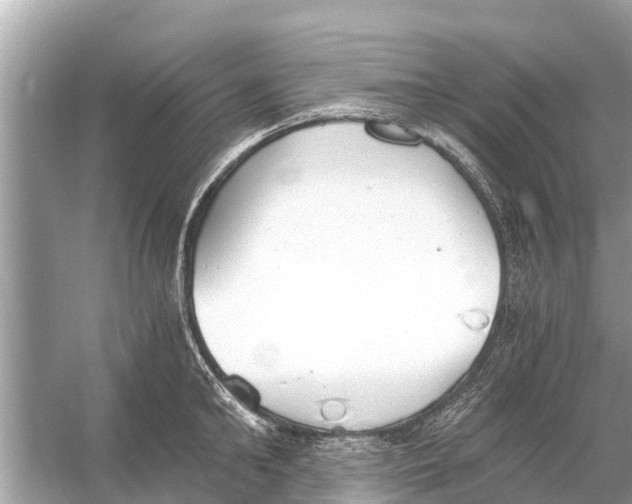 X0000056030902200509170033