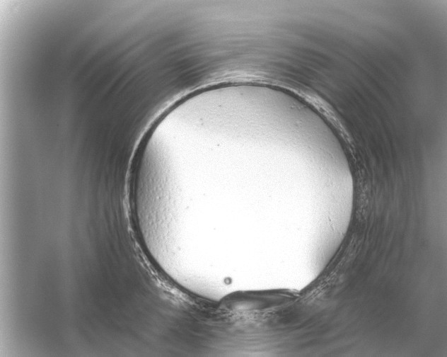 X0000056030904200509170033