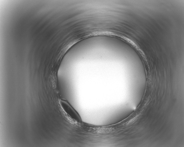 X0000056030905200509170033