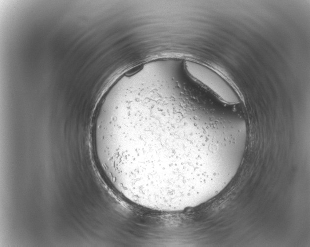 X0000056030906200509170033