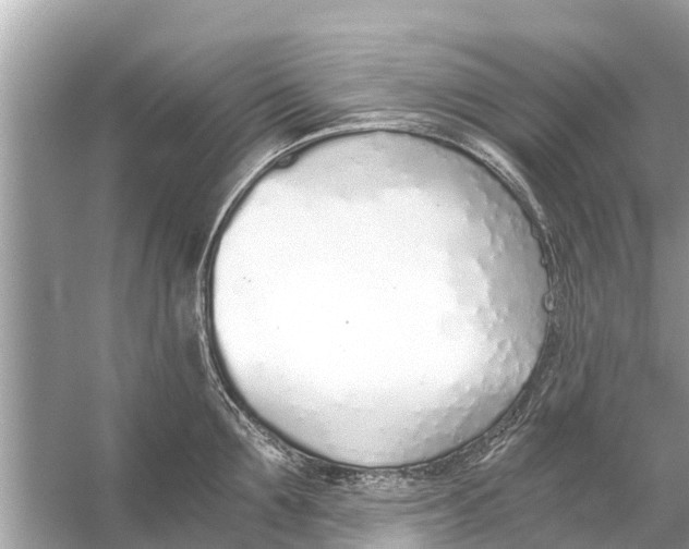 X0000056030907200509170033