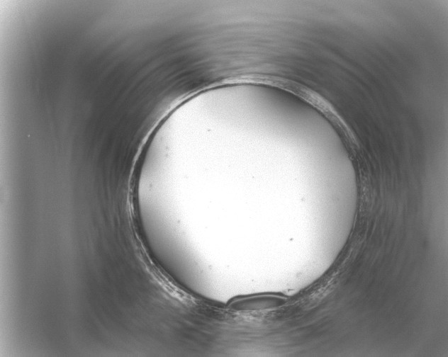 X0000056030908200509170033