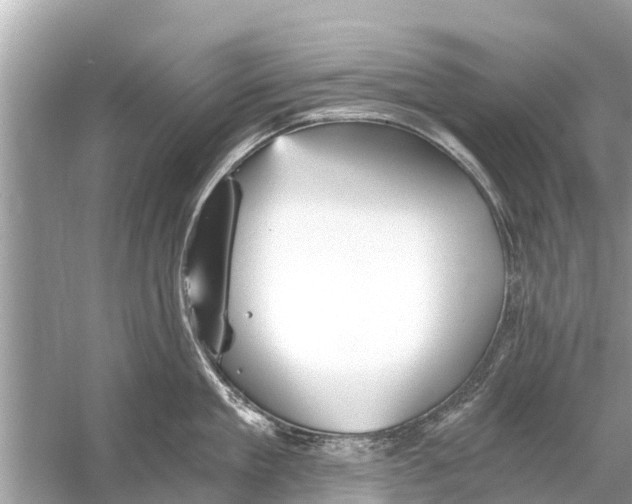 X0000056030909200509170033