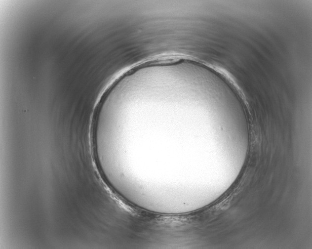 X0000056030910200509170033