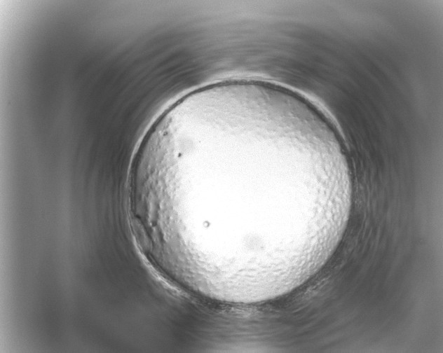 X0000056030911200509170033