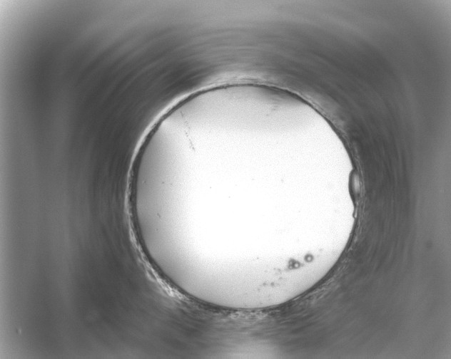 X0000056030912200509170033