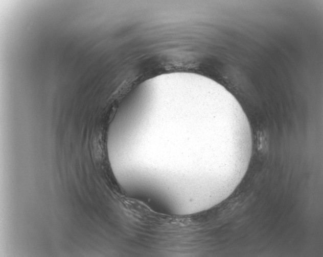 X0000056030915200509170032