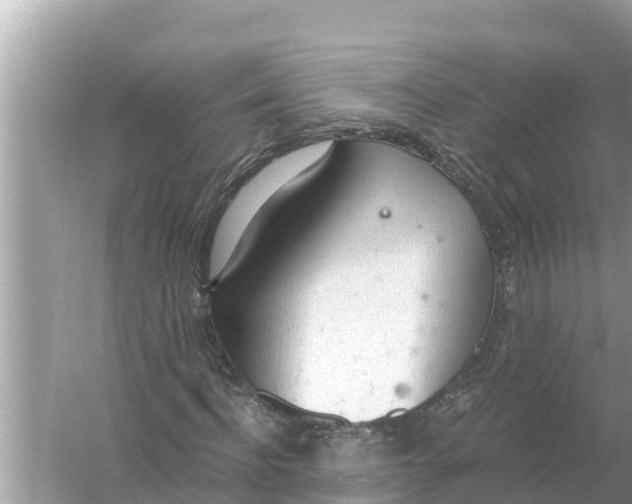 X0000056030916200509170032