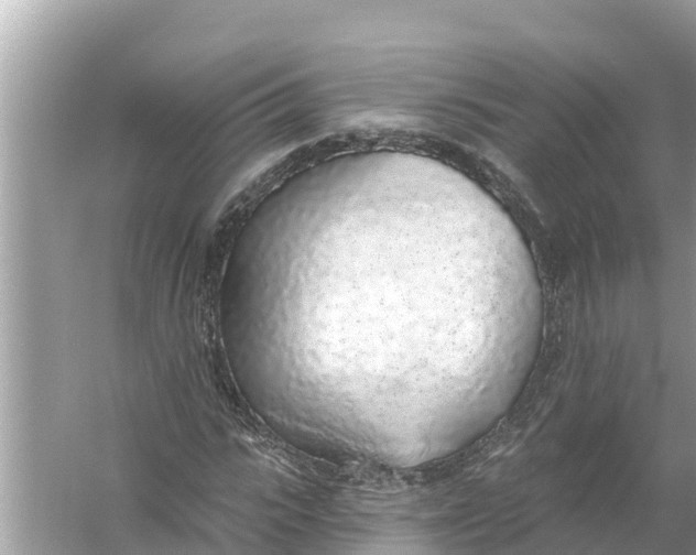 X0000056030919200509170032