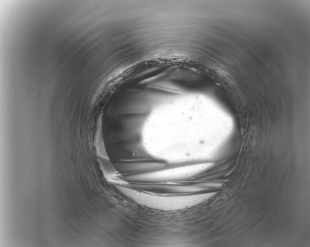 X0000056030920200509170032