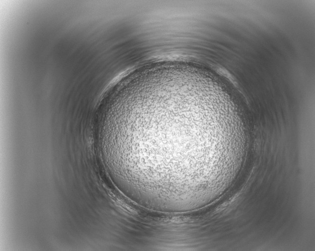 X0000056030922200509170032