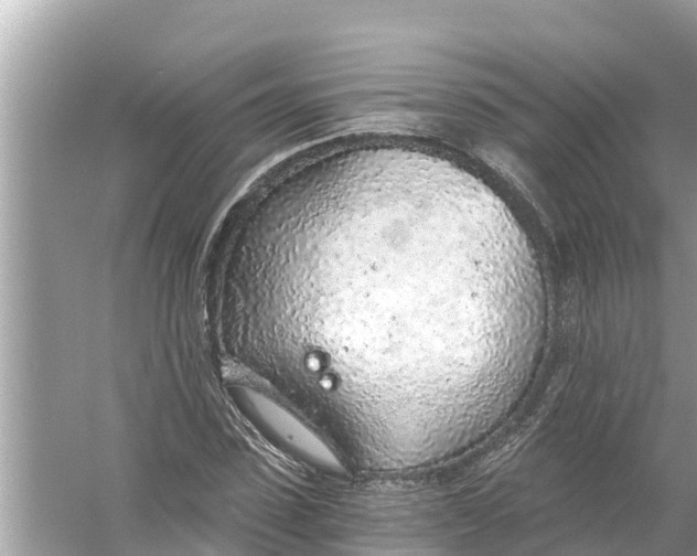 X0000056030923200509170032