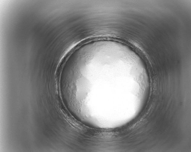 X0000056030925200509170032