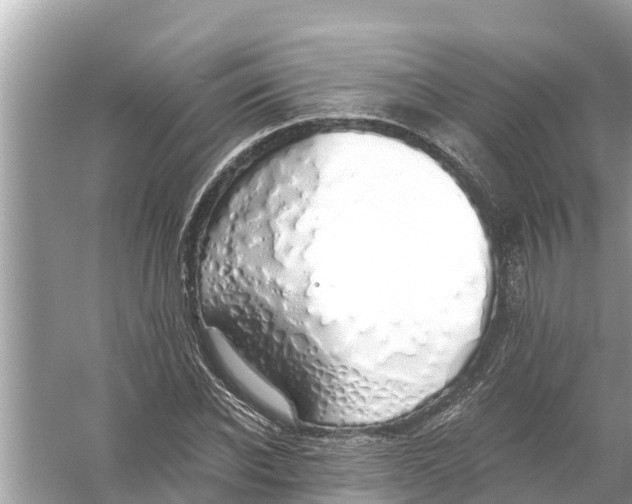 X0000056030926200509170032