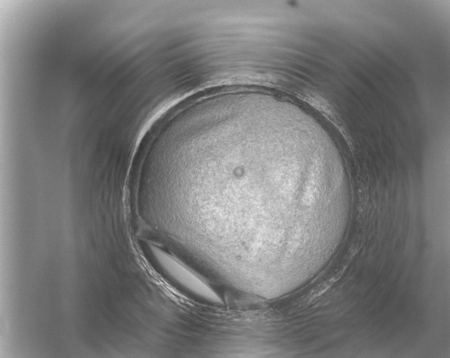 X0000056030928200509170032