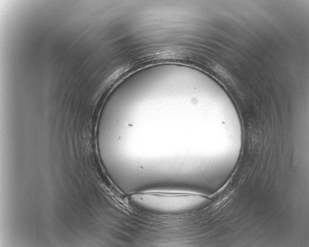 X0000056030930200509170032