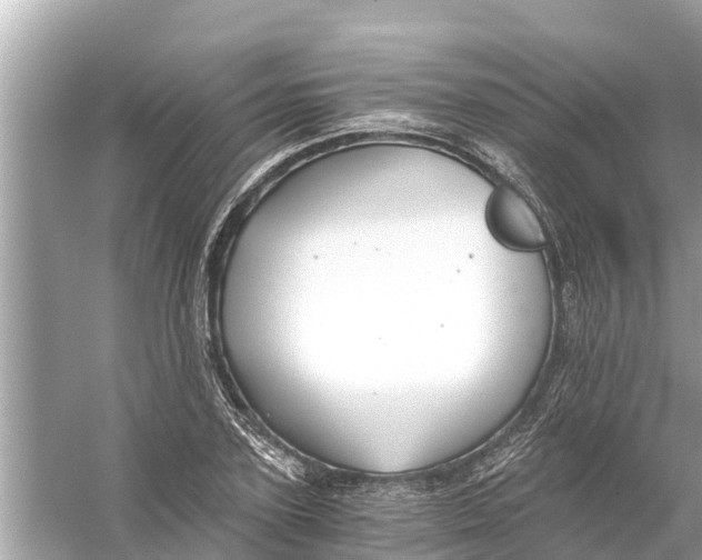 X0000056030931200509170032