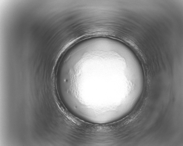 X0000056030933200509170033