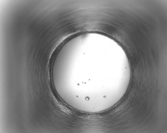 X0000056030934200509170033