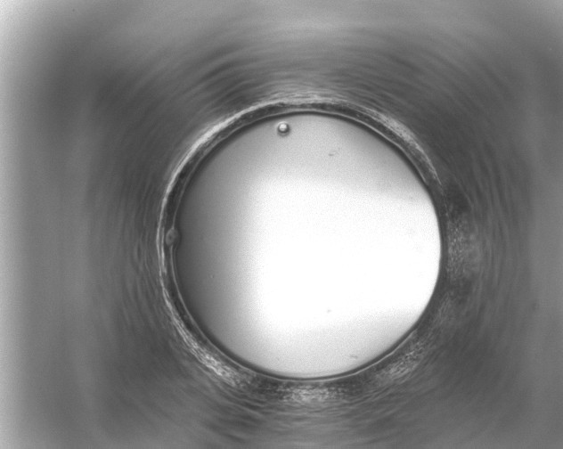 X0000056030935200509170033